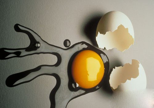 吃鸡蛋可以增强老年人的记忆力吗(1)